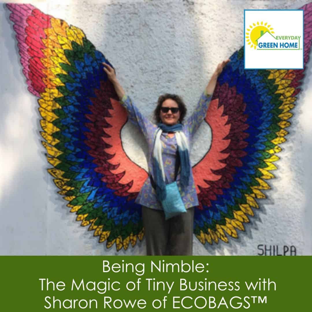 The Magic of Tiny Business by Sharon Rowe