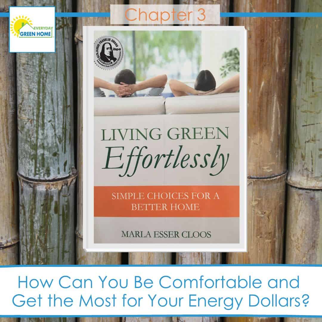 Book Chapter 3: Energy Efficient