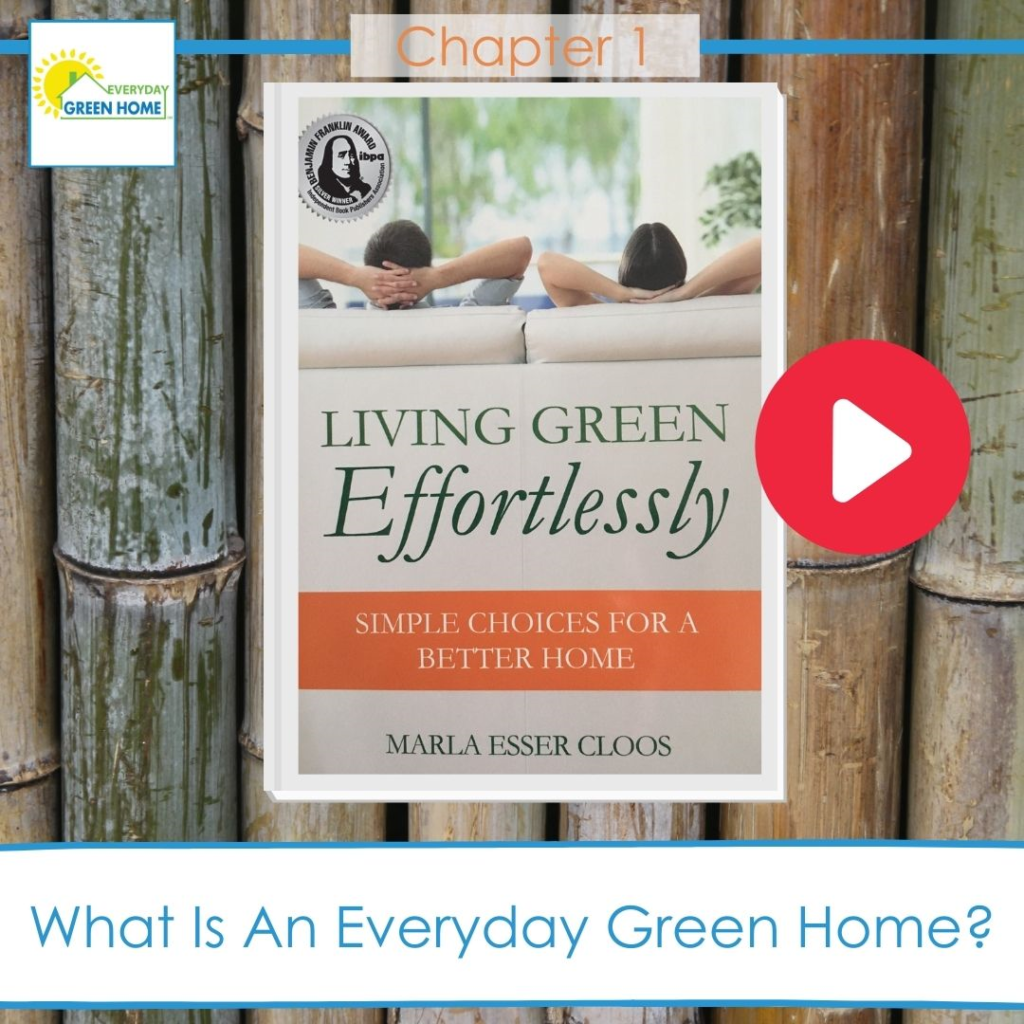 What is an Everyday Green Home