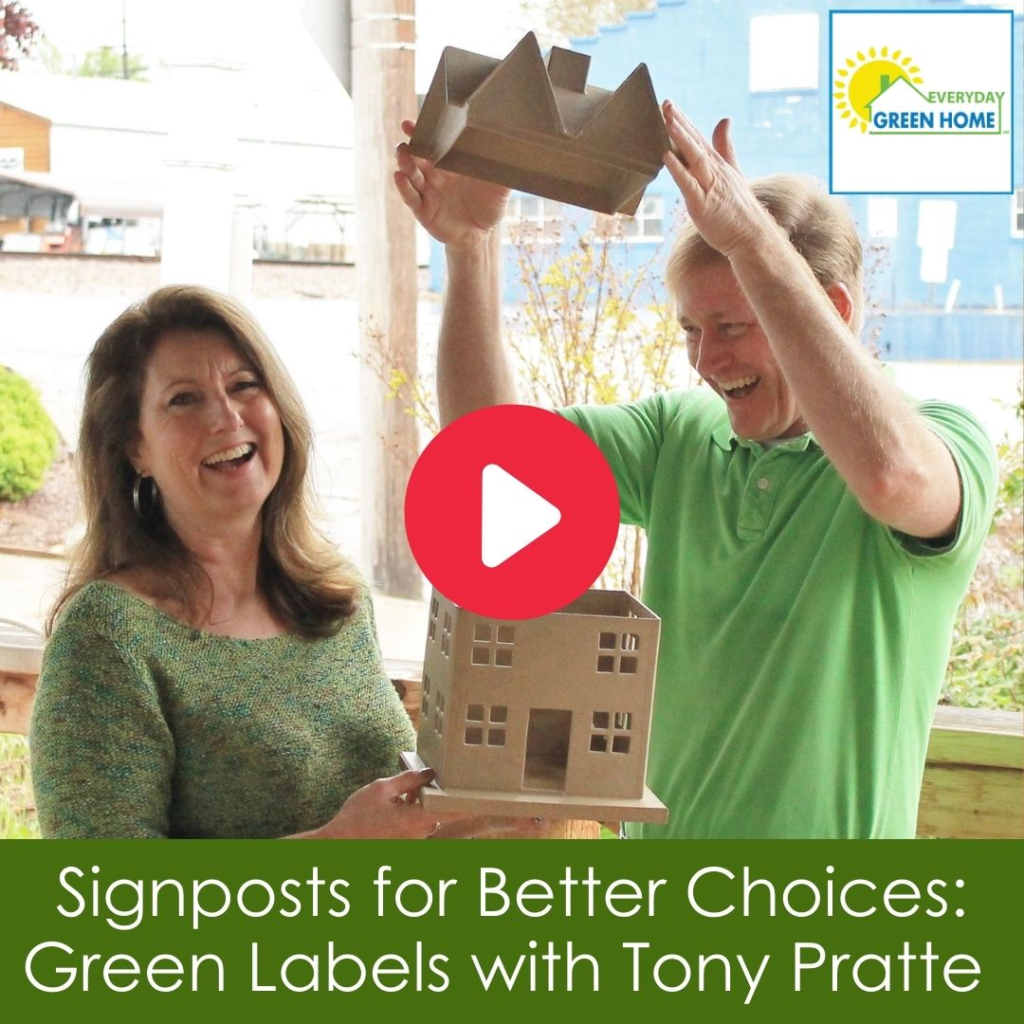 Signposts for Better Choices with Green Labels