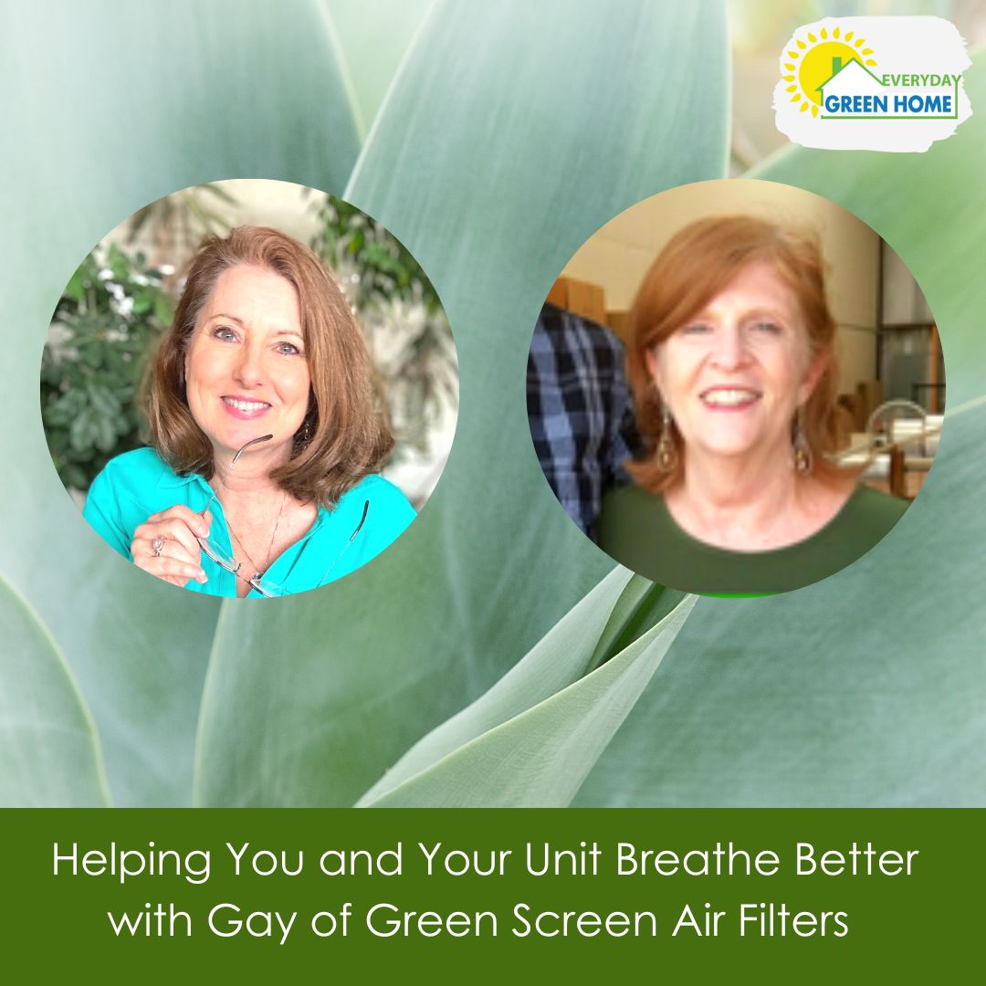 Air Filters | Green Home Coach
