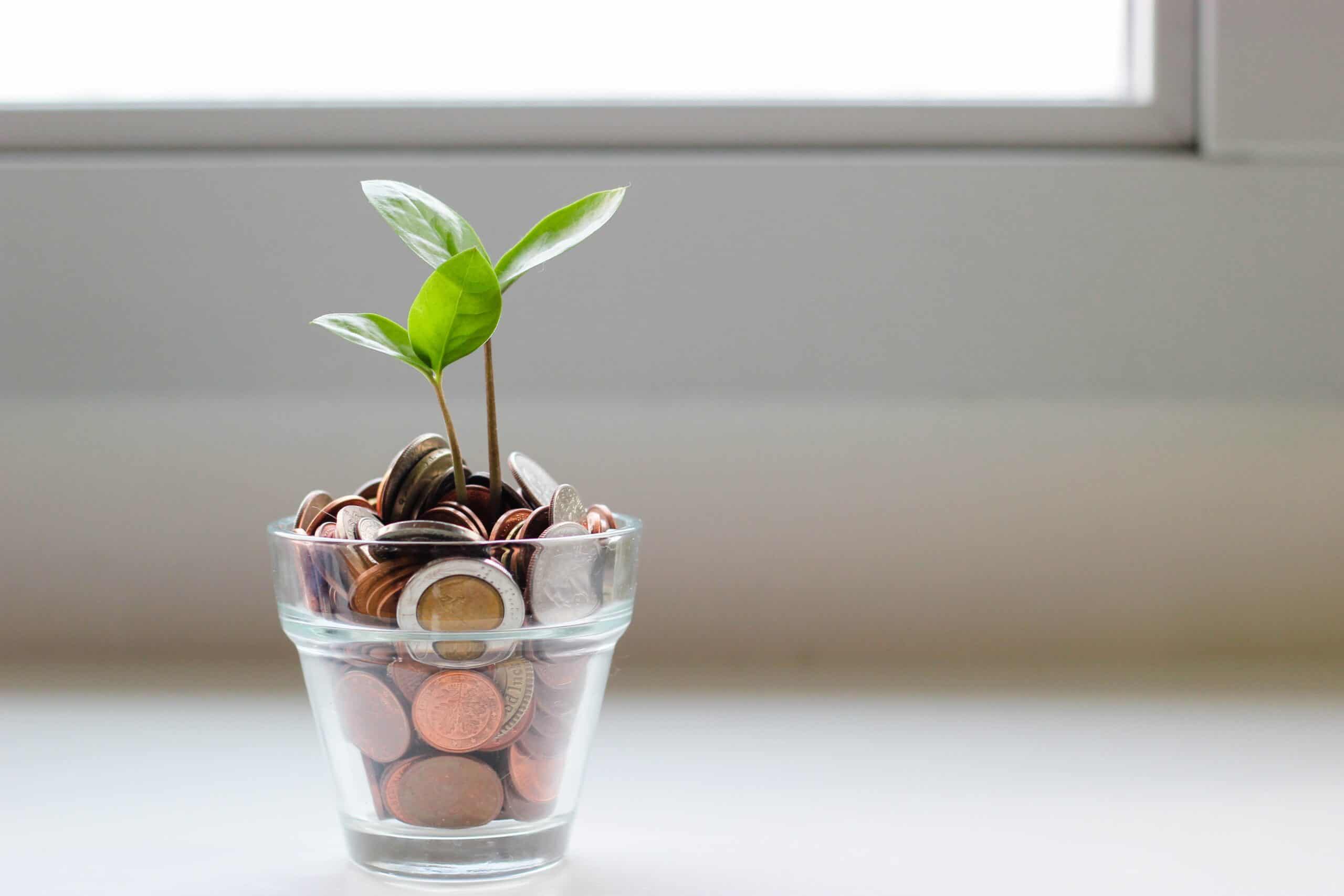 home ownership costs | TCO Kerry Langley | Green Home Coach