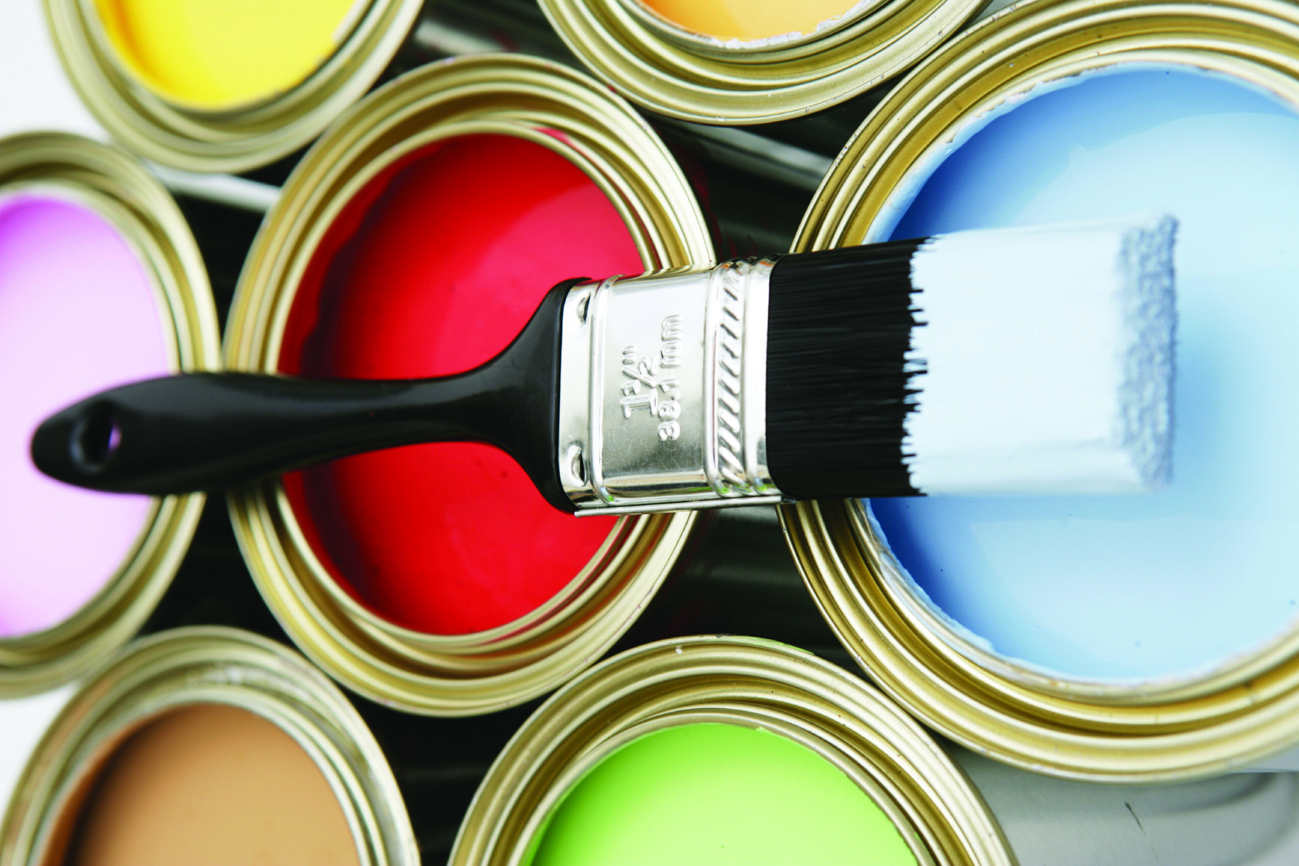 eco-friendly paint | Green home coach | marla esser cloos